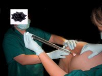 nursemadeline112_1_.jpg