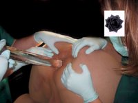 nursemadeline117_1_.jpg