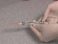 bscap009.jpg