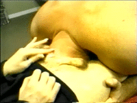 pipa11.GIF