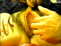 pipa33.GIF