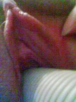 17062007125.jpg