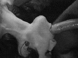 12103258.gif