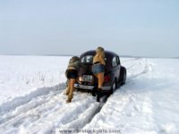 devushki_05_1_.jpg
