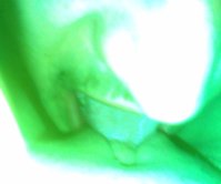 28112009_017_.jpg