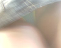 SP_A0186.jpg