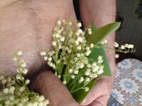 DSC00590.JPG