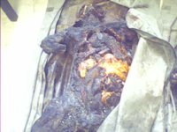 IMG0059A.jpg