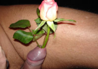 93.jpg