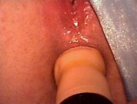 FILE3533.JPG