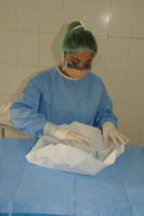 RDSC07487.jpg