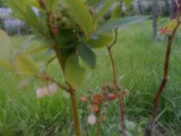 IMG_0705.jpg