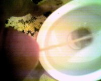 000617_172126.jpg