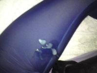 DSC01315.JPG