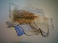 IMG041.jpg