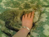 30052007_005_.jpg