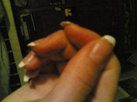31052007_001_.jpg