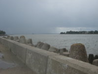 IMG_3311.jpg