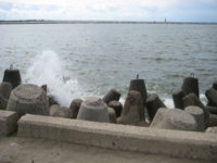 IMG_3332.jpg
