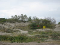 IMG_3309.jpg