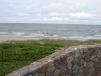 IMG_3313.jpg