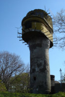 110.jpg