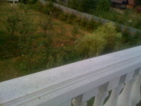 Садик с балкона.jpg