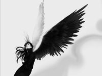 43773813_14393419_Angel.jpg