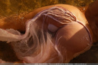 1132014469_met-art_psh_11135_0089_DCE.jpg