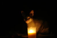 DSC08161.jpg