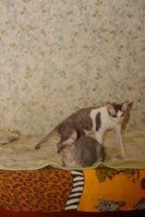 DSC08150.jpg