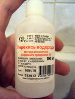 DSC02750.jpg