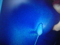 DSC01540.jpg