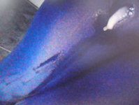 DSC01544.jpg