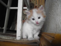 DSCF3254.JPG