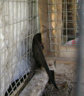 DSC04041_cr.jpg
