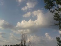 Фото993.jpg