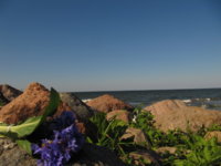 IMG_2493.JPG