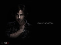 32623_nastoyashhaya-krov_or_true-blood_1600x1200_(www.GdeFon.ru).jpg