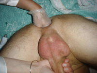 590_1000.jpg