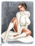 17686 - Princess_Leia_Organa Rinaldi star_wars.jpg