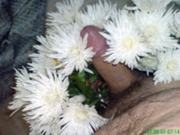 DSC00150.JPG