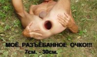 дупло.jpg