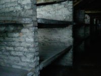 PIC-0018.jpg