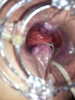 2012-04-26 10.13.21.jpg