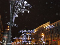 DSC02071.JPG