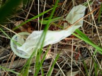 2012-06-05 14.20.39.jpg