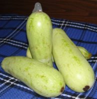 SNC14638.JPG