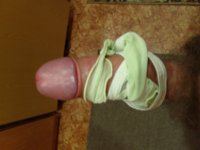 S7308774 (2).JPG