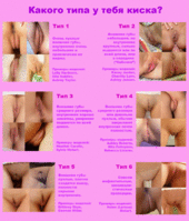 What type is your pussy (GIF).gif